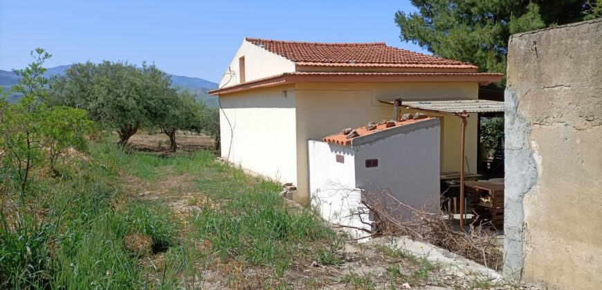 Termini Imerese: terreno-casetta  viale Canna