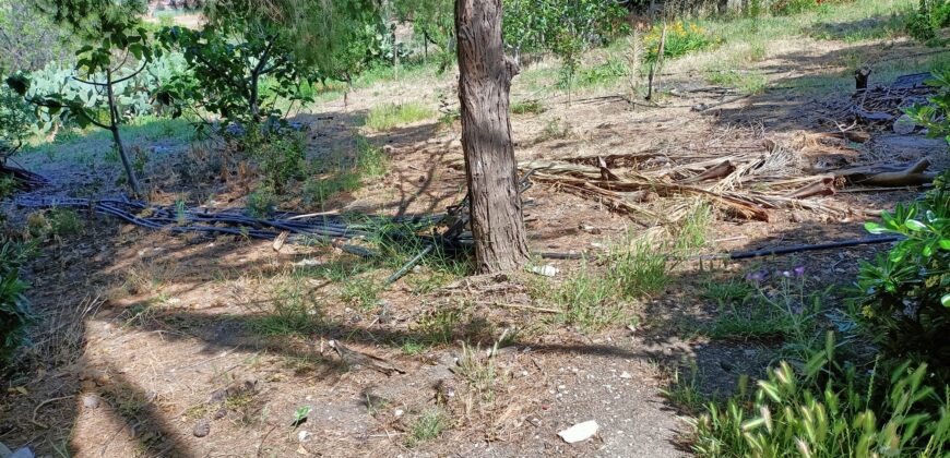 Termini Imerese: terreno-casetta  viale Canna