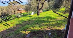 Termini Imerese: villetta contrada Balata
