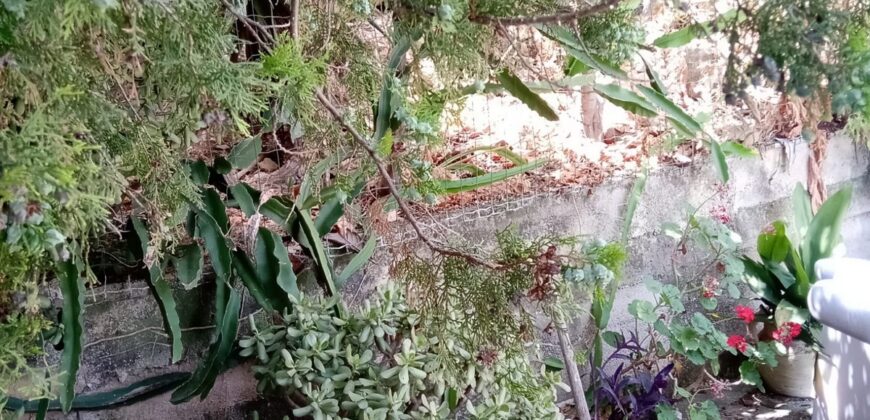 Termini Imerese: appartavilla contrada Ginestra