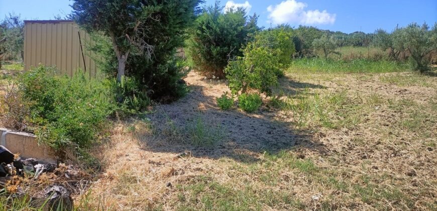 Termini Imerese: villetta contrada Quaranta Salme