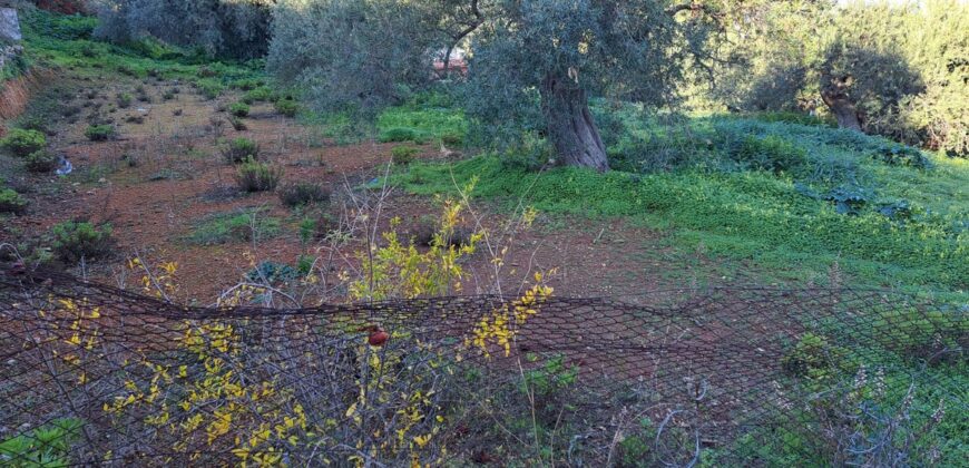 Termini Imerese: terreno edificabile contrada Bragone-Ginestra