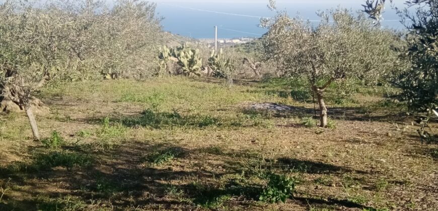 Termini Imerese: terreno verde agricolo contrada Cozzo Corona