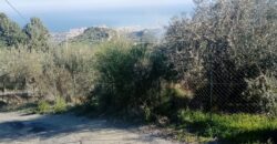 Termini Imerese: terreno verde agricolo contrada Cozzo Corona