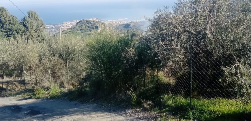 Termini Imerese: terreno verde agricolo contrada Cozzo Corona