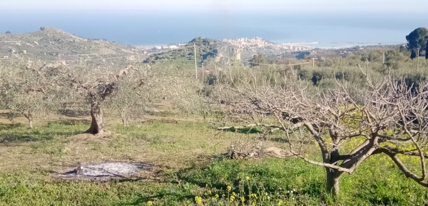 Termini Imerese: terreno verde agricolo contrada Cozzo Corona