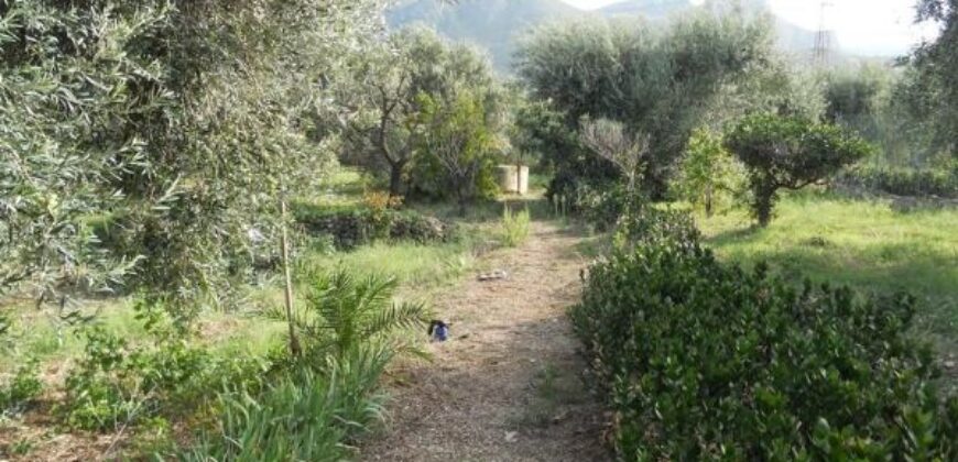 Termini imerese: villa via Libertà