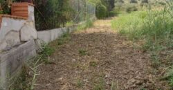 Termini Imerese: terreno agricolo contrada Piraino