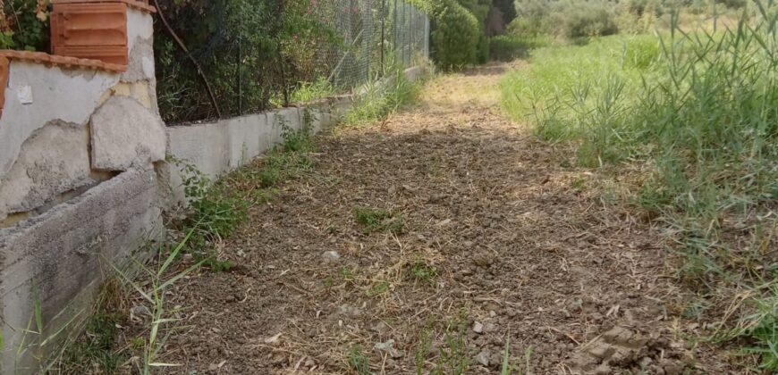 Termini Imerese: terreno agricolo contrada Piraino