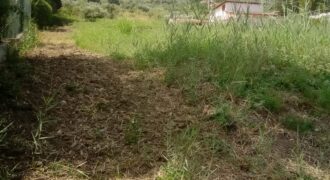 Termini Imerese: terreno agricolo contrada Piraino