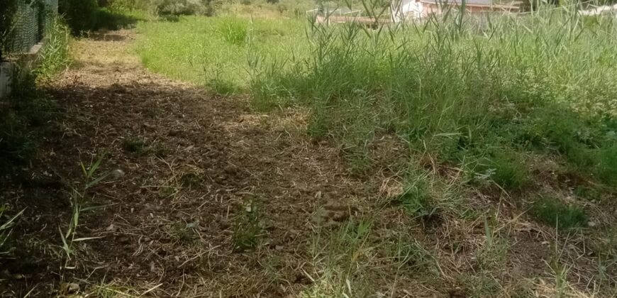 Termini Imerese: terreno agricolo contrada Piraino