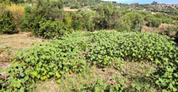 Termini Imerese: villa contrada Franco