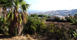 Termini Imerese: villa contrada Franco