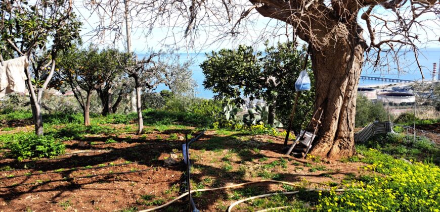 Termini Imerese: villa contrada Patteri