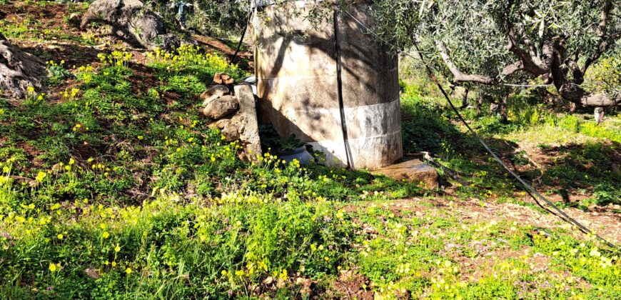 Termini Imerese: villa contrada Patteri