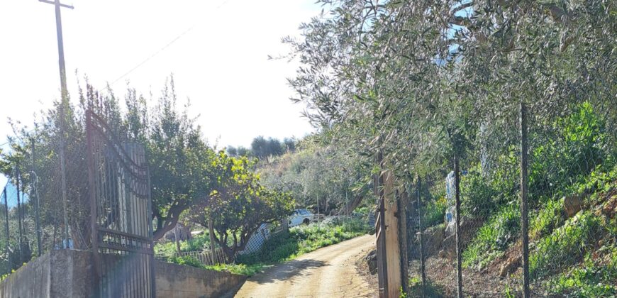 Termini Imerese: villa contrada Patteri