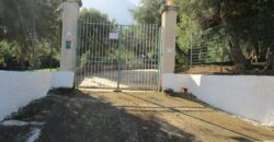 Termini Imerese: villa contrada Chiarera
