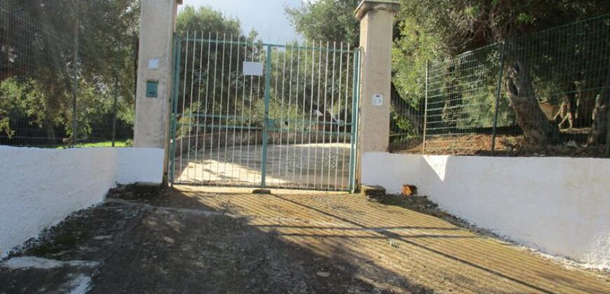 Termini Imerese: villa contrada Chiarera