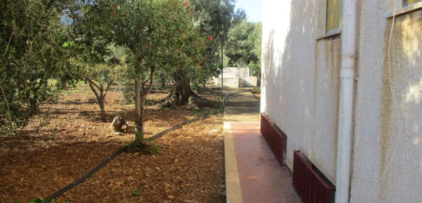 Termini Imerese: villa contrada Chiarera