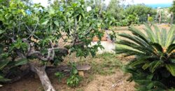 Termini Imerese: Villetta contrada Balata