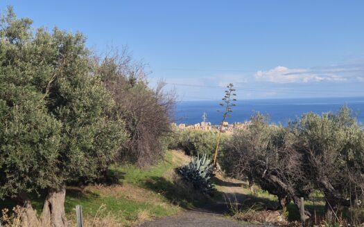 Termini Imerese: terreno agricolo contrada Incallisi