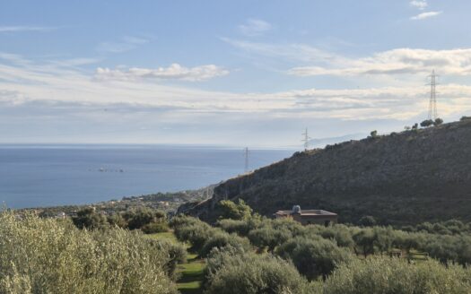 Termini Imerese: terreno agricolo contrada Incallisi