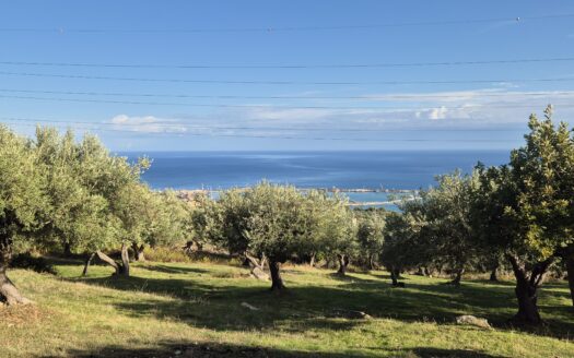 Termini Imerese: terreno agricolo contrada Incallisi