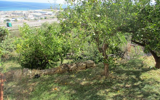 Termini Imerese: terreno-casetta contrada Brucato