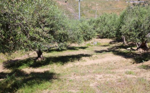 Termini Imerese:terreno agricolo contrada Chiusa