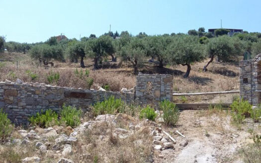 Termini Imerese: terreno agricolo contrada Scoparo