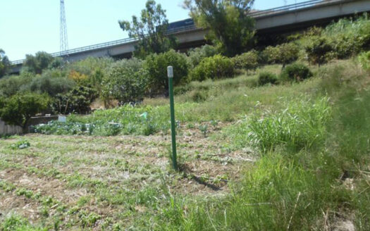 Termini Imerese: terreno agricolo contrada Vignale