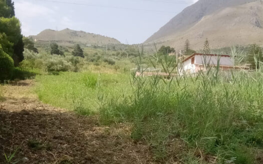 Termini Imerese: terreno agricolo contrada Piraino