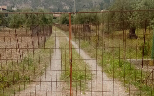 Termini Imerese: terreno edificabile contrada Bragone