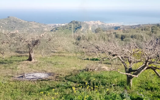 Termini Imerese: terreno verde agricolo contrada Cozzo Corona