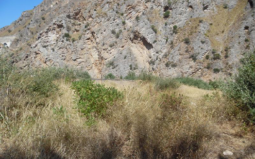 Termini Imerese:terreno agricolo contrada Chiusa