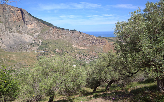 Termini Imerese:terreno agricolo contrada Chiusa