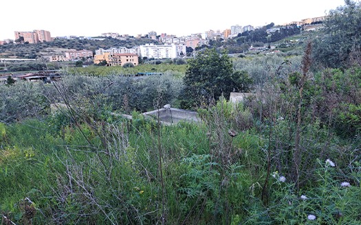Termini Imerese: terreno agricolo contrada Rocca Rossa