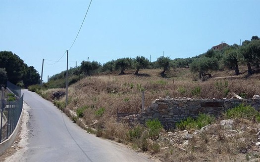 Termini Imerese: terreno agricolo contrada Scoparo