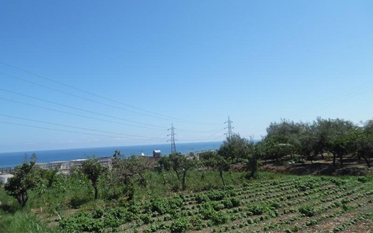 Termini Imerese: terreno agricolo contrada Vignale