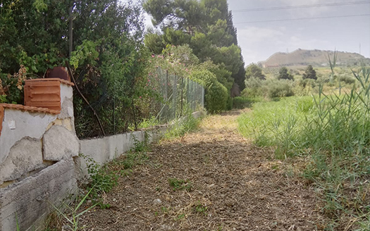 Termini Imerese: terreno agricolo contrada Piraino