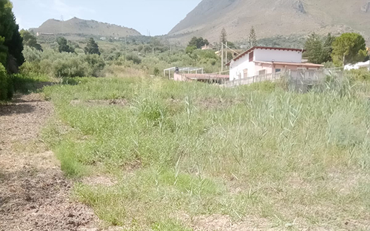Termini Imerese: terreno agricolo contrada Piraino