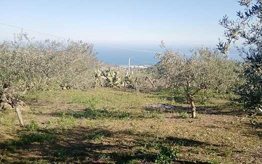Termini Imerese: terreno verde agricolo contrada Cozzo Corona