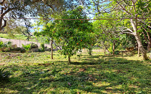 Termini Imerese: villa contrada Caracoli