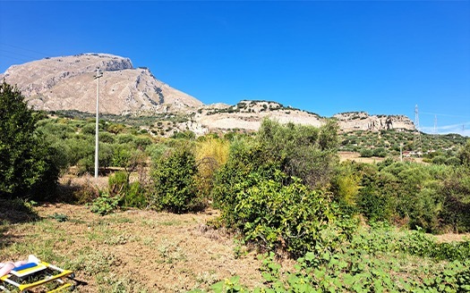 Termini Imerese: villa contrada Franco