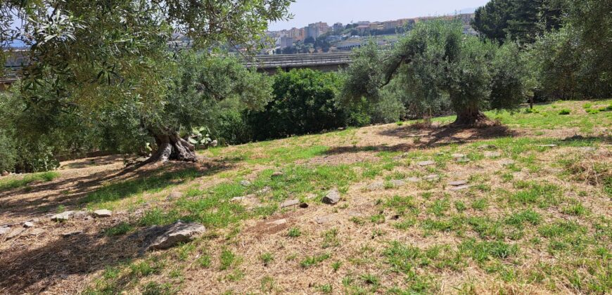 Termini Imerese: villetta contrada Bevuto