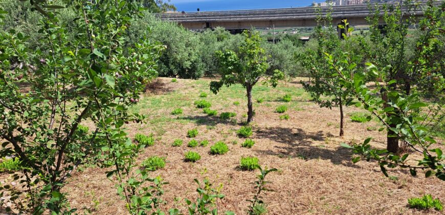 Termini Imerese: villetta contrada Bevuto