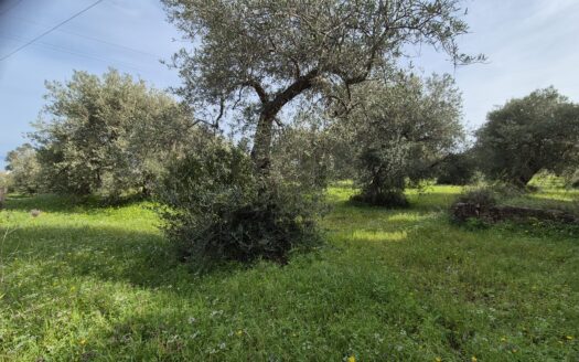 Termini Imerese: rustico contrada Caracoli
