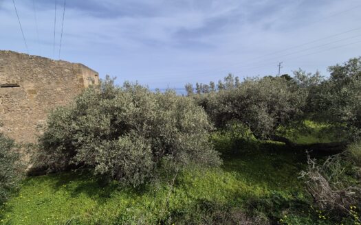 Termini Imerese: rustico contrada Caracoli